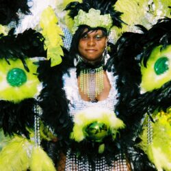 Carnival costume with vibrant feathers and beads.