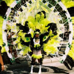 Carnival costume with bright yellow and black feathers.