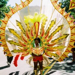 Carnival costume with vibrant, feathered headdress.
