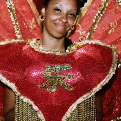Carnival costume with red and gold details.
