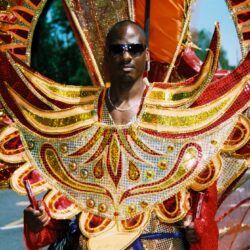 Carnival performer in vibrant, elaborate costume.