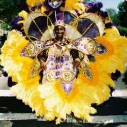 Carnival performer in yellow and purple feathers