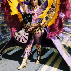 Person in vibrant purple and yellow carnival costume