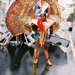 Carnival costume with feathers and sequins outdoors.