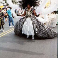 Smiling carnival performer in elaborate feathered costume
