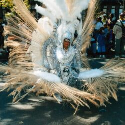 Parade performer wearing large feathered ceremonial costume
