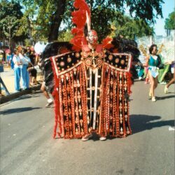 Person in elaborate red and black carnival costume