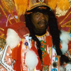 Person in colorful feathered parade costume
