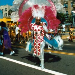 Person in elaborate pink feathered carnival costume