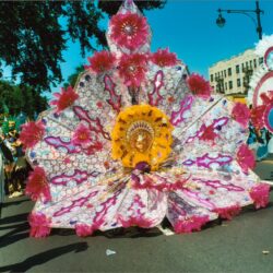 Elaborate pink feathered carnival costume in parade