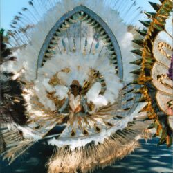 Carnival performer in white and gold feathered costume