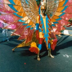 Colorful carnival costume with large feathered wings