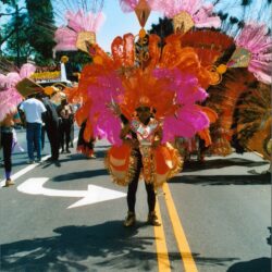 Person in vibrant orange and pink carnival costume