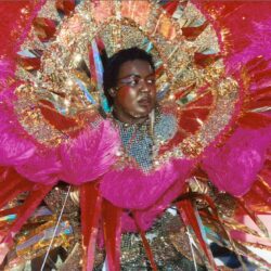 Performer in dazzling pink feathered carnival costume