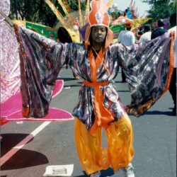 Parade performer in colorful winged costume