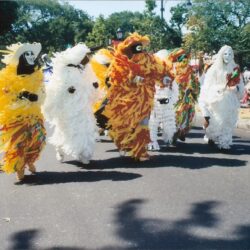 Parade with dancers in colorful feathered costumes