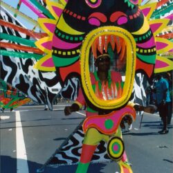 Person in vibrant monster carnival costume