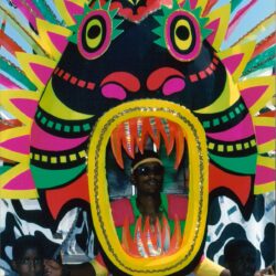Colorful carnival mask headdress framing person