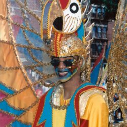 Smiling performer in parrot-themed carnival costume