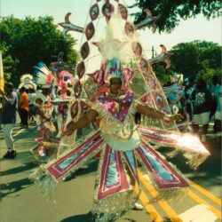 Person in colorful carnival costume at parade
