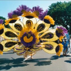 Colorful yellow and purple carnival costume at parade