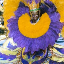 Carnival performer in purple and yellow feathers