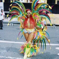 Person in colorful carnival costume at parade