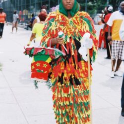 Person in vibrant red yellow green fringe costume