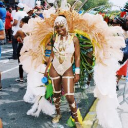 Colorful carnival dancer wearing large feathered costume
