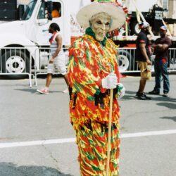 Person wearing colorful fringed costume and mask