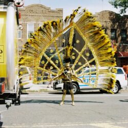 Person wearing large gold feathered carnival costume